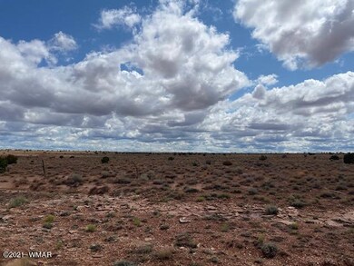 IMG_9833 (1)