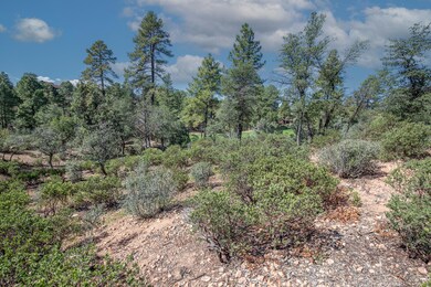 2302 E Blue Bell Cir, Payson, AZ 85541 - photo 7