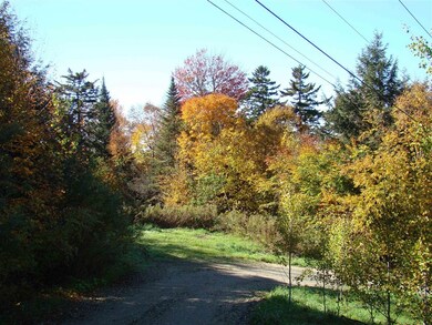 5 Ghastly Job Way unit 5, Wilmington, VT 05363 - photo 3