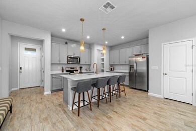 4236 Cloud Hopper Way, Lutz, FL 33559 - photo 3