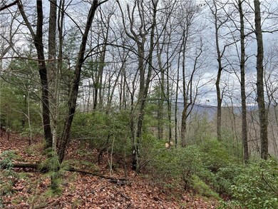 Lot 230 Deer Run, Purlear, NC 28665 - photo 4