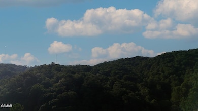 2359 Grassy Branch Rd, Sevierville, TN 37876 - photo 7