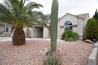 Real Saguaro cactus that has its beautiful blooms