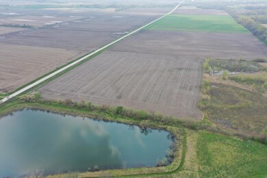 DJI_0289