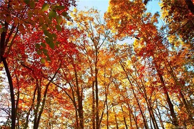 0000 Carolina Hills Dr, Hendersonville, NC 28792 - photo 5