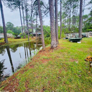 Heron Bayou- Back yard
