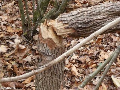 0 Spring Cottage Rd unit 1227520, Newtown, VA 23126 - photo 7