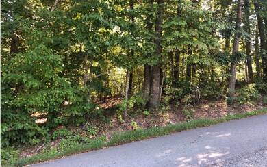Additional View
