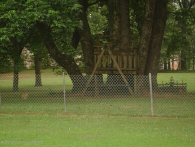 backyard 1