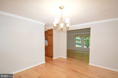 8304 Old Tree Ct, Springfield, VA 22153 - photo 4