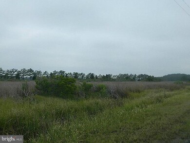 0 Toddville Rd unit 1001675997, Toddville, MD 21672 - photo 4