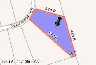 7 Sycamore Ln, East Stroudsburg, PA 18302 - photo 6