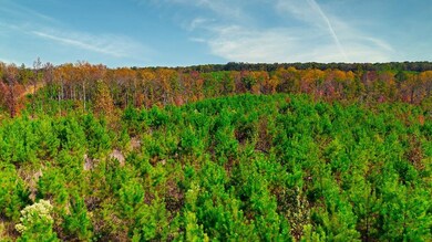 View of landscape