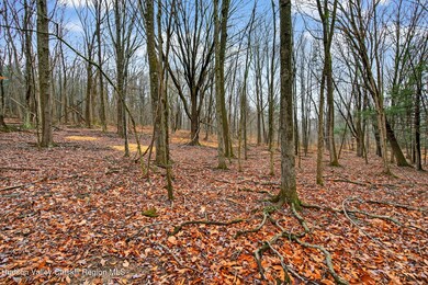 308 Shady Glen Rd, East Durham, NY 12423 - photo 4