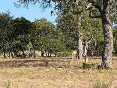 00 Pfiester Rd, Fredericksburg, TX 78624 - photo 3