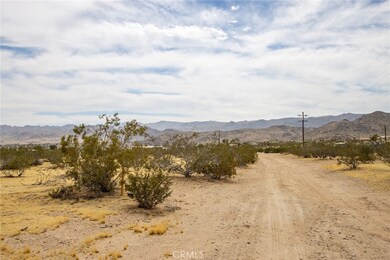 4225 Benji Ave, Joshua Tree, CA 92252 - photo 7