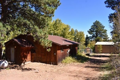 370 Road 182w, Westcliffe, CO 81252 - photo 4