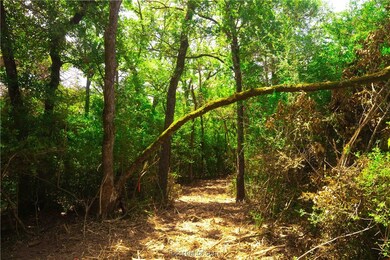 5115 N STATE HIGHWAY 5115 N State Highway 6, Hearne, TX 77859 - photo 6