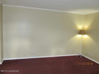 9301 Hudson Ln, Louisville, KY 40291 - photo 6