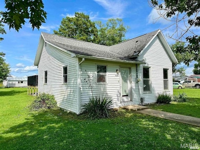 414 E Monroe Ave, Farina, IL 62838 - photo 2