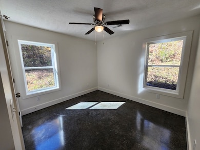 221 Pine Lick Estates Dr, Whitleyville, TN 38588 - photo 6