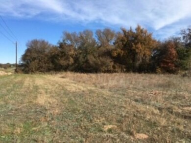 100 Buckner Rd, Lipan, TX 76462 - photo 7