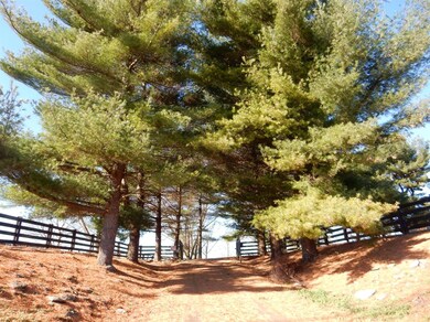 3634 Louisville Rd, Harrodsburg, KY 40330 - photo 2