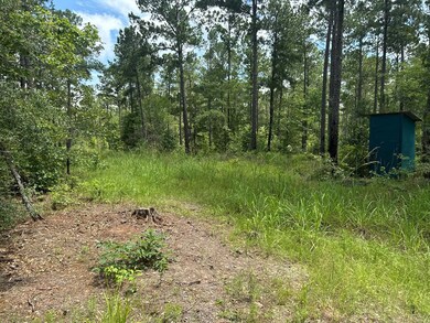 090 County Divide Rd, Pineland, TX 75968 - photo 7