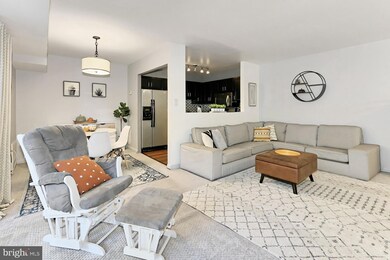 6139 Leesburg Pike unit 203, Baileys Crossroads, VA 22041 - photo 4