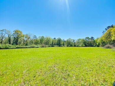 000 S Mary Topps Rd, Franklinton, LA 70438 - photo 3