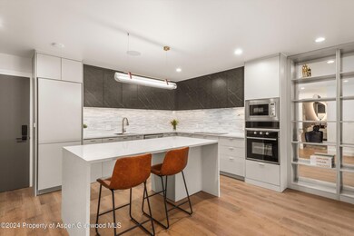 790 W Hallam St unit 2, Aspen, CO 81611 - photo 3