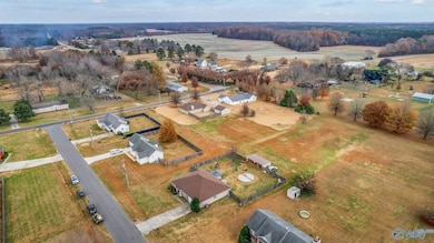 126 Bollweevil Ln, Toney, AL 35773 - photo 7