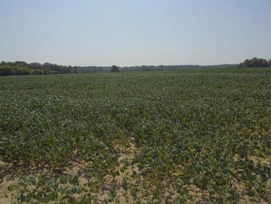 000 Estill Baker Rd, Hanson, KY 42413 - photo 4