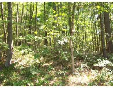 Lot A Wendell Rd, New Salem, MA 01355 - photo 5