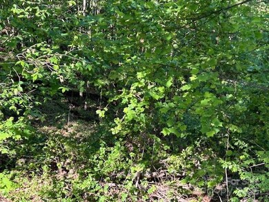 0 Arbra Mountain Way unit CAR4224453, Bostic, NC 28018 - photo 3