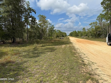 0000 Jefferson Ave, Alford, FL 32420 - photo 3