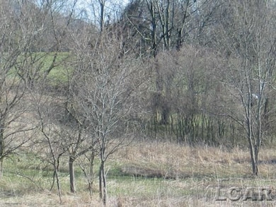 8000 Parkhurst Hwy unit Carroll Dr ((1175), Addison, MI 49220 - photo 6