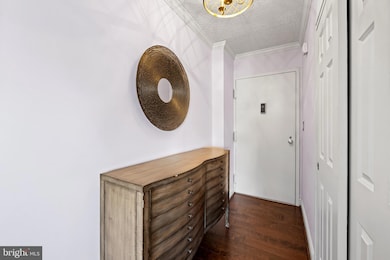 The Ridgely Condominiums, Towson, MD 21286 - photo 4