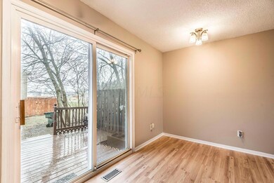 barkwood earing space