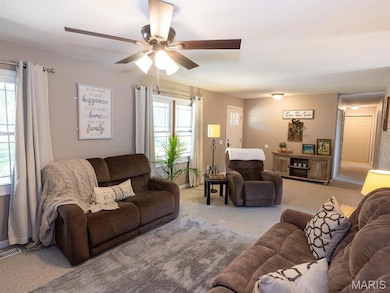 14816 Highway Uu, Bowling Green, MO 63334 - photo 6