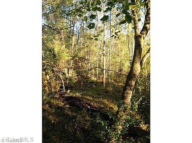 0 Arthur Teague Rd unit 721934, Siler City, NC 27344 - photo 2