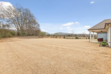 8503 River Birch Loop, Ooltewah, TN 37363 - photo 4