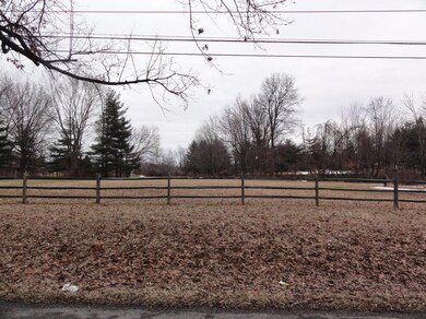 Back Yard 2