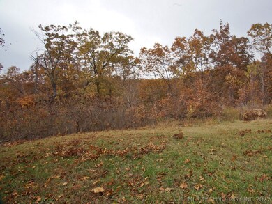 0 N Beaver Ridge Rd unit 1918771, Proctor, OK 74457 - photo 7