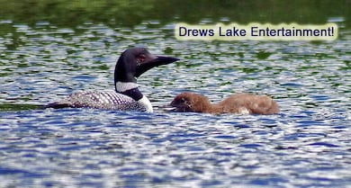 Lot 12 Winter Rd, Linneus, ME 04730 - photo 4