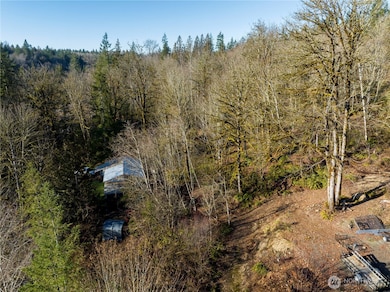 13620 Kelly Rd NE, Duvall, WA 98019 - photo 6