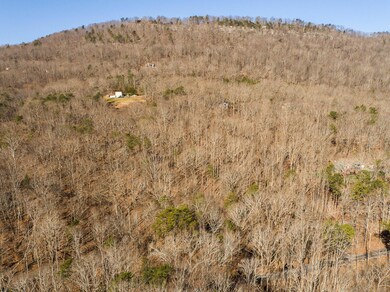 Powder Springs Lot-3
