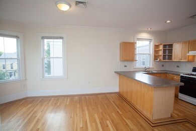 12 Magnolia Ave unit 2, Cambridge, MA 02138 - photo 4