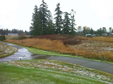 0 Loomis Trail Rd unit 858075, Blaine, WA 98230 - photo 3