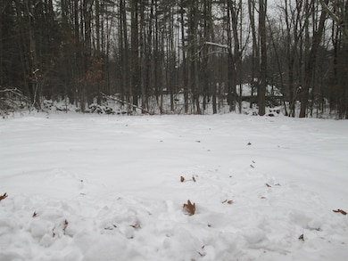 12 Gerrish Dr, Nottingham, NH 03290 - photo 3